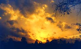 Sunset